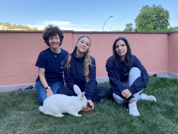 A Marassi "La Collina dei conigli" riabilita i piccoli animali da laboratorio (Foto e video) A Marassi "La Collina dei conigli" riabilita i piccoli animali da laboratorio (Foto e video)
