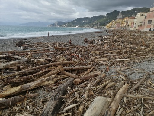 Decreto Salvamare, il legname spiaggiato diventa fonte d'energia. Mai (Lega): "Una vittoria"