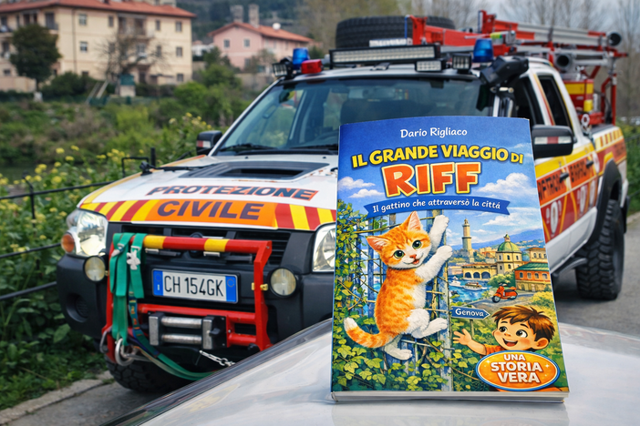 La storia di Riff, il gattino che ha attraversato Genova, diventa un libro