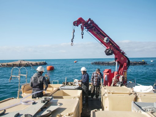 Approvata la legge regionale su pesca e acquacoltura marittima, Lamanna (Fai Cisl Liguria): &quot;Un bene per le nostre aziende&quot;