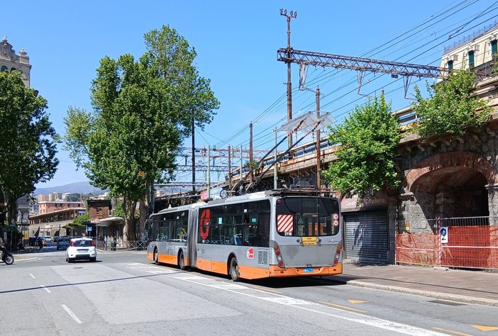 Foto Facebook Fiorenza Pampolini