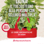 AISM torna nelle piazze con “Le Erbe Aromatiche”: raccolta fondi e sensibilizzazione sulla sclerosi multipla