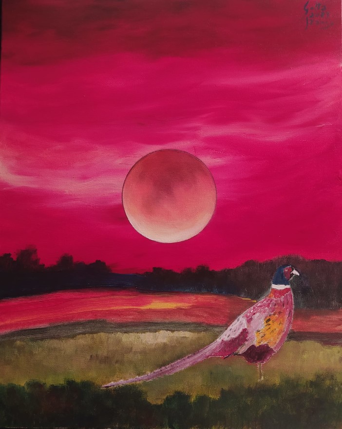 Luna piena del Cacciatore, vista dal pittore braidese Franco Gotta Luna piena del Cacciatore, vista dal pittore braidese Franco Gotta