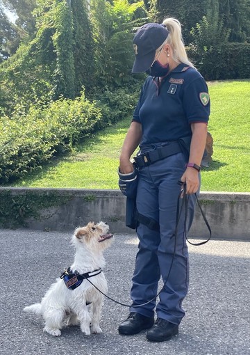 La Polizia di Genova presenta Leone, il nuovo cane antidroga