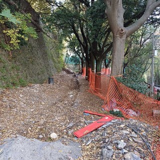 Cantiere di via Carso al Righi, l'assessora Coppola: &quot;Effettuati scavi su terreno comunale in assenza delle necessarie autorizzazioni&quot;