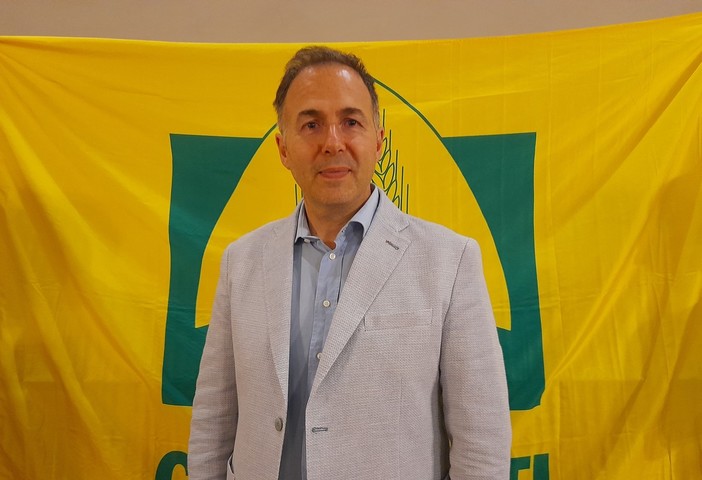 Floricoltura: il crisantemo fiore simbolo di Ognissanti