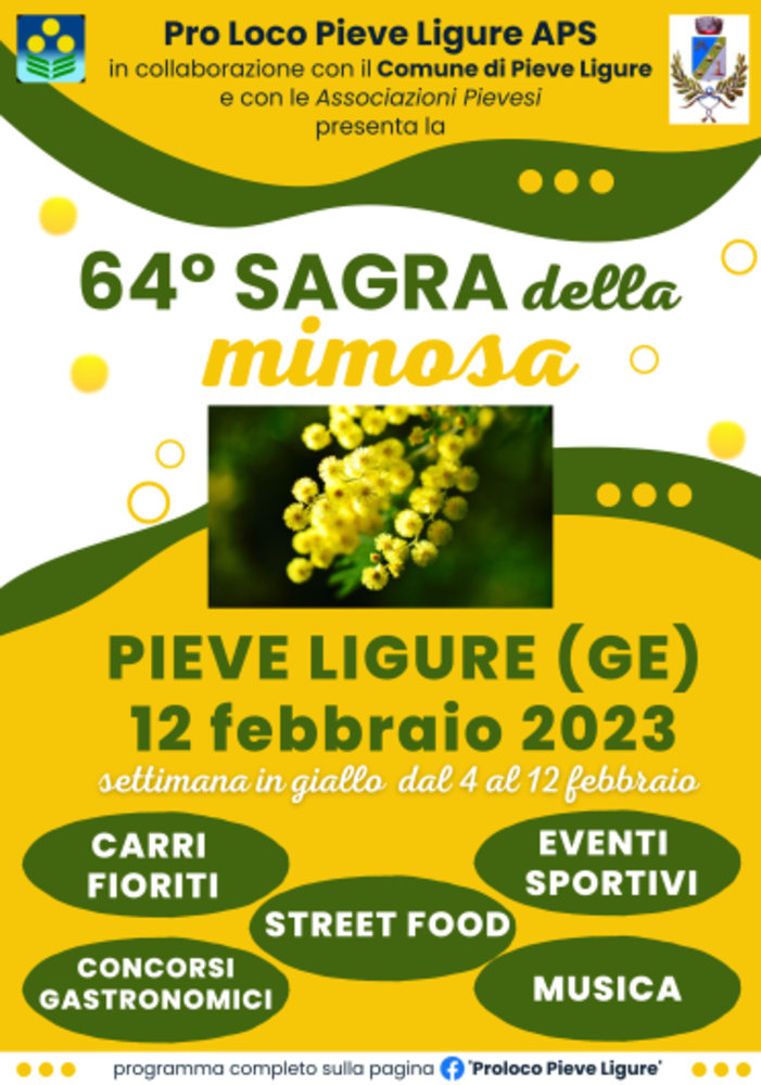 Torna la Sagra della Mimosa di Pieve Ligure, oggi alla sua 64a edizione