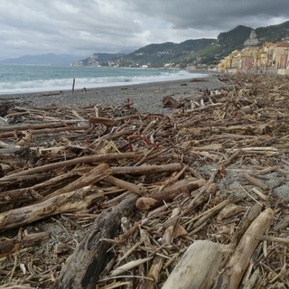 Decreto Salvamare, il legname spiaggiato diventa fonte d'energia. Mai (Lega): "Una vittoria"