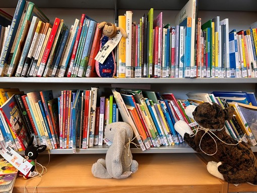 I peluche dei bambini ‘lettori per una notte’, alla Lercari torna ‘La notte dei pupazzi in Biblioteca’ I peluche dei bambini ‘lettori per una notte’, alla Lercari torna ‘La notte dei pupazzi in Biblioteca’