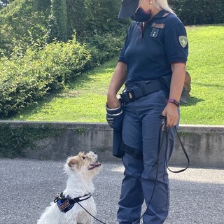 La Polizia di Genova presenta Leone, il nuovo cane antidroga