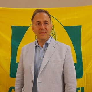 Floricoltura: il crisantemo fiore simbolo di Ognissanti