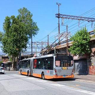 Foto Facebook Fiorenza Pampolini