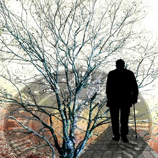 Recco, 45mila euro a sostegno del progetto &quot;Seconda Stella Levante&quot;