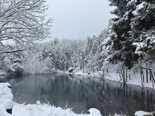 Foto Nowcasting Limet Foto Nowcasting Limet