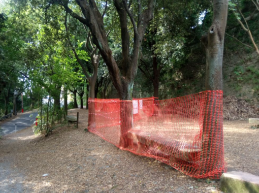 Righi, cabina elettrica nel Parco delle Mura: a breve il sopralluogo degli ispettori del Comune Righi, cabina elettrica nel Parco delle Mura: a breve il sopralluogo degli ispettori del Comune