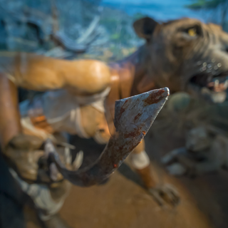 La mostra Mythos al Museo di Storia Naturale 'G. Doria' prorogata fino al 29 agosto 2021
