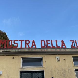 Mostra della Zucca di Murta, sabato 12 e domenica 13 novembre gli appuntamenti conclusivi