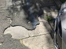 Carignano, marciapiedi dissestati in viale Aspromonte. Aster: “Lastricato compromesso dalle auto”