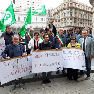 Danni da fauna selvatica, Cia chiede la revisione della legge 157 per sostenere gli agricoltori