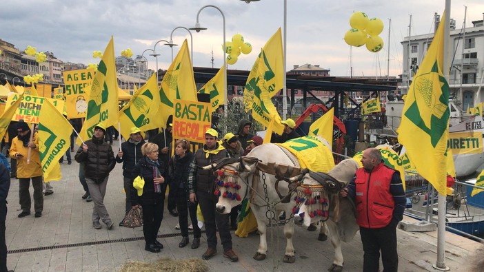 Coldiretti: "Maltempo e ponte Morandi hanno causato 100 milioni di dannop all'agroalimentare"