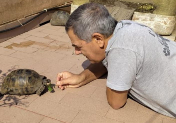 Abbandono cani, Giuseppe Murolo (FdI): "Servono pene più severe e maggiori controlli, un dovere di tutti segnalare maltrattamenti"