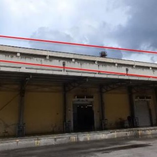 Mercato ittico, il Comune studia una nuova sede: “Potrà prevedere anche la vendita al dettaglio” Mercato ittico, il Comune studia una nuova sede: “Potrà prevedere anche la vendita al dettaglio”