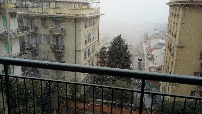 Continua l'allerta gialla su Genova, e arriva anche l'avviso per burrasca Continua l'allerta gialla su Genova, e arriva anche l'avviso per burrasca