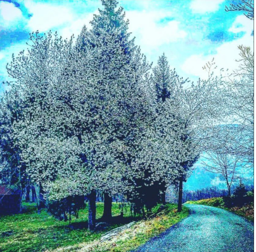 Meteo: fine settimana variabile e molto fresco in Liguria