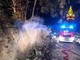 Notte di fuoco a Lagaccio, bruciati cassonetti e motorini
