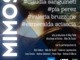 Da un'idea nata sul web ‘Mimose’ arriva all'Arena del Mare al Porto Antico