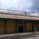 Mercato ittico, il Comune studia una nuova sede: “Potrà prevedere anche la vendita al dettaglio” Mercato ittico, il Comune studia una nuova sede: “Potrà prevedere anche la vendita al dettaglio”