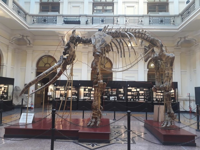 'Biodiversità urbana: Genova e la sua fauna', al Museo di Storia Naturale un incontro per parlare di futuro sostenibile 'Biodiversità urbana: Genova e la sua fauna', al Museo di Storia Naturale un incontro per parlare di futuro sostenibile
