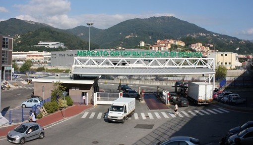 Il Mercato Ortofrutticolo di Genova riapre ai privati consumatori: tutte le regole da seguire