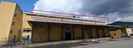 Mercato ittico, il Comune studia una nuova sede: “Potrà prevedere anche la vendita al dettaglio” Mercato ittico, il Comune studia una nuova sede: “Potrà prevedere anche la vendita al dettaglio”