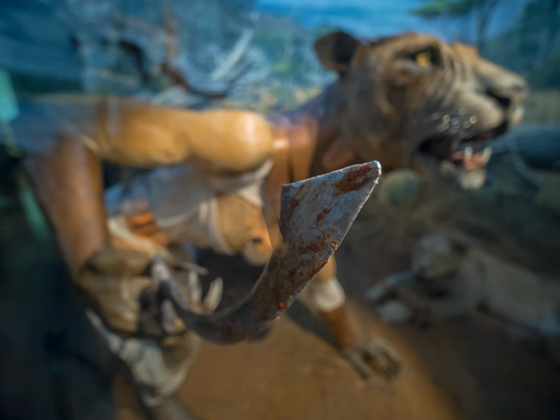 La mostra Mythos al Museo di Storia Naturale 'G. Doria' prorogata fino al 29 agosto 2021