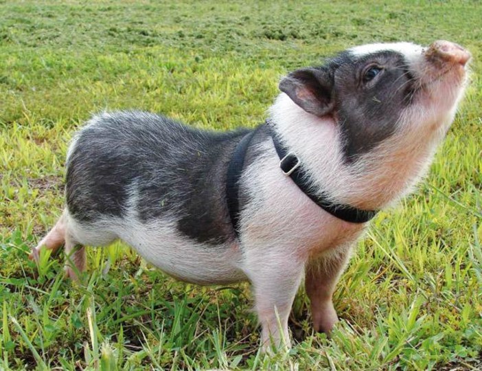 Immagine di repertorio