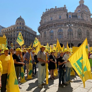 Foto d'archivio Foto d'archivio