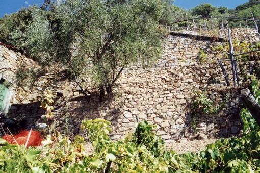 L'Unesco premia i "muretti a secco", Piana: "Indispensabili per agricoltura e abitazioni" L'Unesco premia i "muretti a secco", Piana: "Indispensabili per agricoltura e abitazioni"