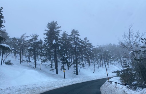 Neve in Liguria, Arpal prolunga l'allerta sui versanti padani di ponente e levante Neve in Liguria, Arpal prolunga l'allerta sui versanti padani di ponente e levante