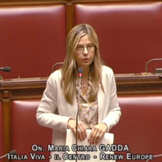 Peste suina africana, Gadd (Iv): "Serve cambio di passo. Per il Governo sembra che l’emergenza sia iniziata oggi"