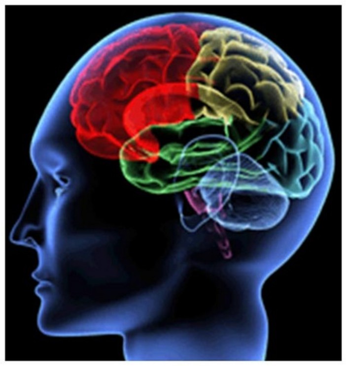 Pubblicato studio sull'emicrania: nel 94% dei casi la terapia chirurgica è la soluzione