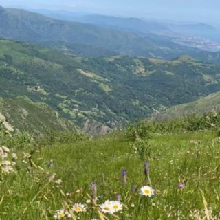 Meteo: giornata soleggiata su tutta la regione