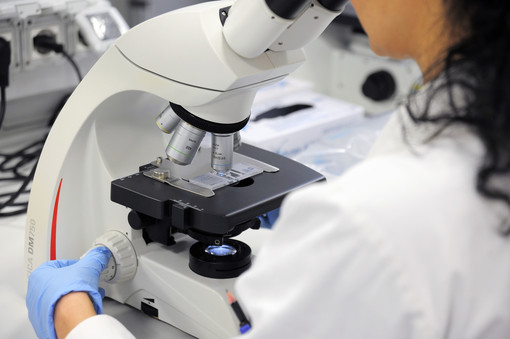 Biophysics Week e Cnr: a Genova la settimana di biofisica per le scuole