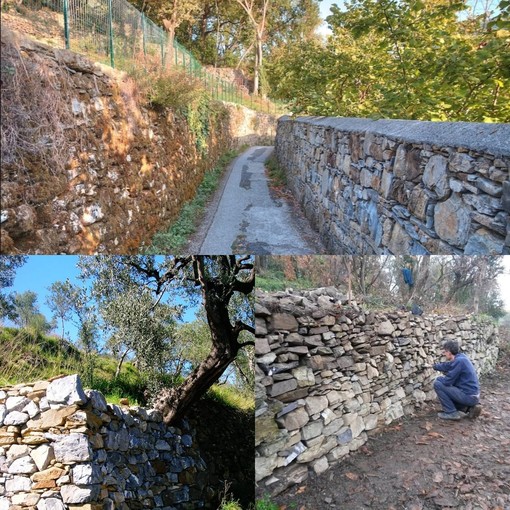 Muretti a secco, attivo il bando di Regione Liguria per il ripristino e la conservazione