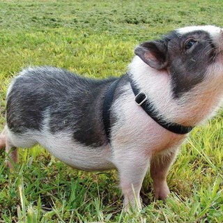 Immagine di repertorio Immagine di repertorio