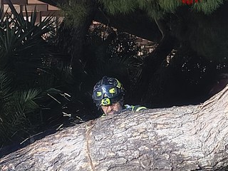 Vigili del fuoco al lavoro Vigili del fuoco al lavoro