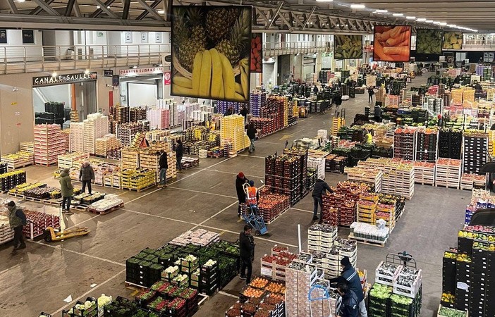 Mercato ortofrutticolo, la Lega: “No a decisioni senza condivisione” Mercato ortofrutticolo, la Lega: “No a decisioni senza condivisione”