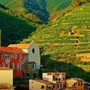 Muretti a secco, Regione Liguria incrementa il bando a quasi dieci milioni di euro