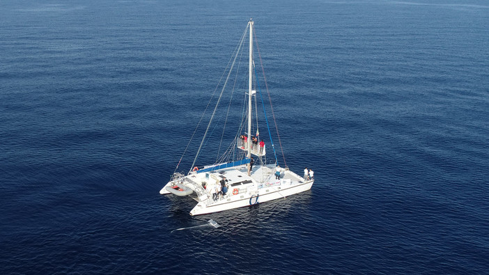 Santuario dei cetacei, parte la campagna di monitoraggio della plastica in mare