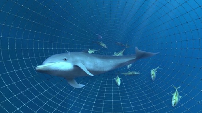 Little Dolphin a Marineland è la novità al Cinéma Adventure 5D